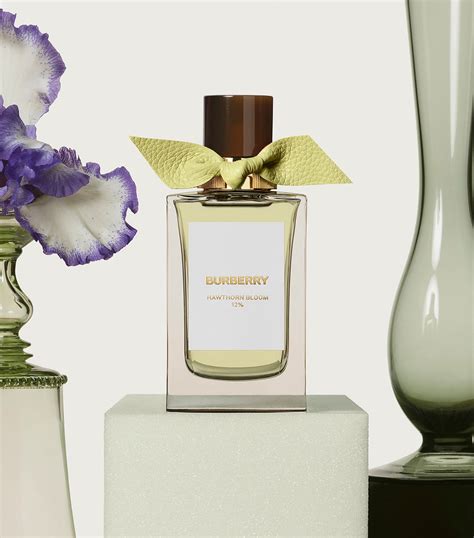 burberry hawthorn bloom|Burberry signatures hawthorn bloom.